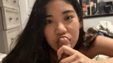Iyoteen.com 12 7
