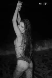 Iyoteen.com Slyfox 64