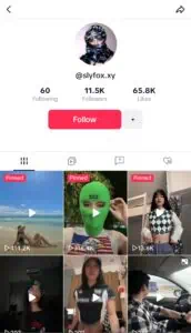 Iyoteen.com Slyfox 67